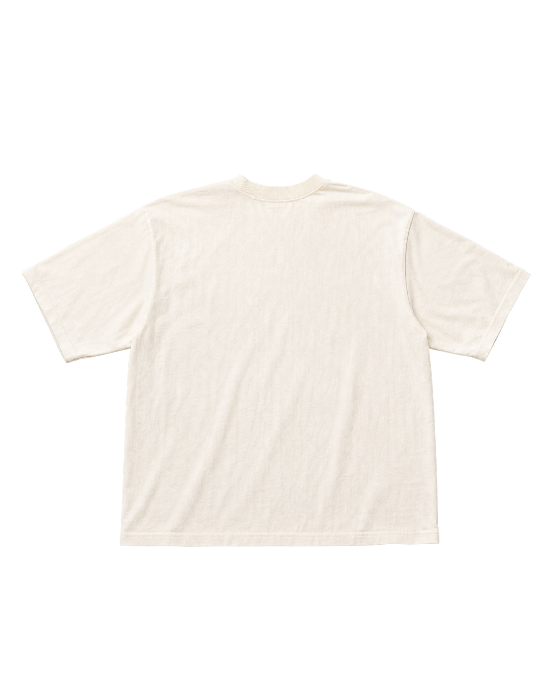Strength Within Tee
